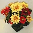15" Potted Zinnia Flower