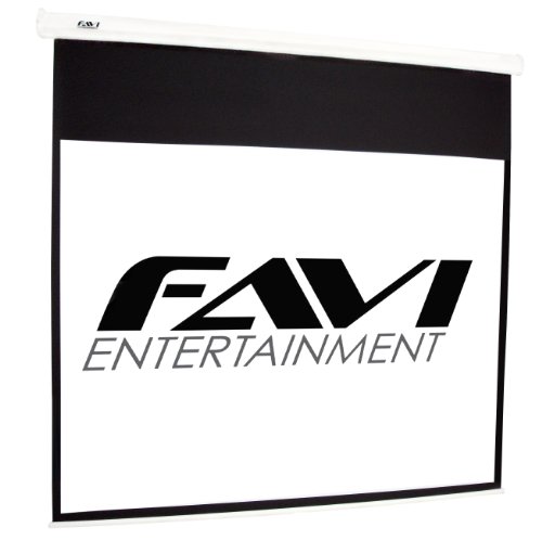 http://www.projectorlampcheap.com/projector-screen/favi-screens/favi-p-100-100-inch-43-electric-projector-screen-80-inch-x-60-inch.html