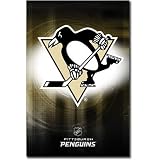 Pittsburgh Penguins Logo 2010 Sports Poster Print - 22x34 Poster Print, 22x34