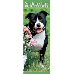 Staffordshire Bull Terriers: Slimline Calendar: 2003