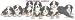 Bernese Mtn. Dog - Puppies in a Row by Cindy Farmer