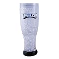 Philadelphia Eagles Crystal Pilsners Set of 2