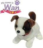 My name is Wan ベティ
