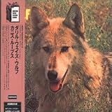 Canis Lupus