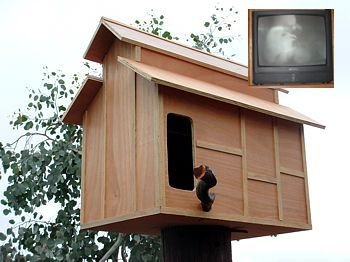 Hoo's Hoo Barn Owl Nest Box