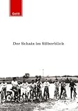 Produkt-Bild: Der Schatz im Silberblick