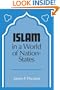 Islam in a World of Nation-States