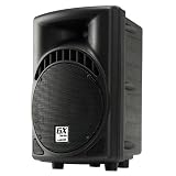 Gemini GX-801 250W 8