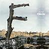 Bild des Albums von Feist