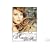 Angelique Michele Mercier (5 Dvd set NTSC)
