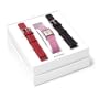 Skagen Women's Interchangeable Watch Gift Set #228SSLP5CR-SET
