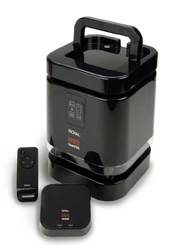 Royal Machines WES 1500 Wireless Speaker with Remote Control