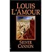 Silver Canyon: A Novel