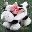 Udder Buddy Cow Wigh Lady Bug - Squeak Toy