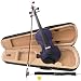 Purple 4/4 Violin with Bow, Free Case, and Accessories