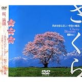 さくら 名所を彩る美しい季節の魔法 [DVD]