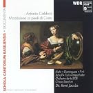 Maddalena Ai Piedi...
