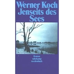 Jenseits des Sees