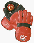 SG Super League Wicketkeeper Gloves