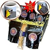 Birds - Blue and Gold Macaw - Coffee Gift Baskets - Coffee Gift Basket