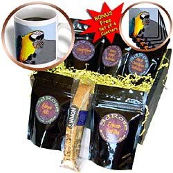 Birds - Blue and Gold Macaw - Coffee Gift Baskets - Coffee Gift Basket by Decaf Espresso Roast