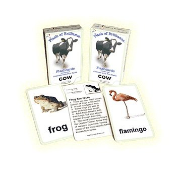 Childrens Toyshop  Toys : Animals with Fun Facts Flash Cards