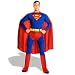 Rubie's Costume Co 12834 Superman Adult XL Costume Size X-Large