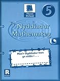 Ffocws rhifedd 5 : fy nyddiadur mathemateg