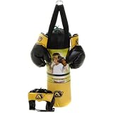 Sac de frappe GM + gants