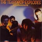 Teardrop Explodes, the +6