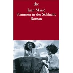 Stimmen in der Schlucht: Roman