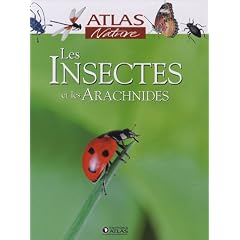 Les Insectes et les Arachnides