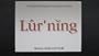 Lurning: 147 Inspiring Thoughts for Learning on the Job