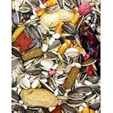 Higgins Pet Food Nederlands Vita Seed Parrot 25lb