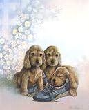 3 Baby Cocker Puppy Dogs Sleeping On Old Tennis Shoe 16x20 Art Print