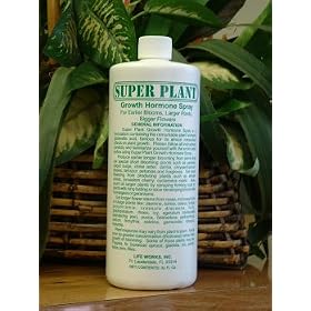 Super Plant - Growth Hormone Spray - 32 oz refill from Garden Wagons