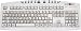 Keys U See Keyboard Ivory Keys with Black Print