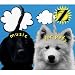 Produkt-Bild: Music for Pets