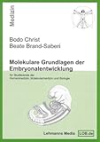 Image de Molekulare Grundlagen der Embryonalentwicklung: Für Studierende der Humanmedizin, Molekularmedizin