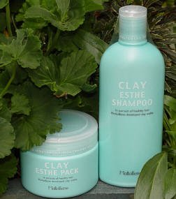 Clay Esthe Shampoo From Molto Bene 11oz.