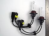 McCulloch 10000K H10/9145 Xenon HID Bulbs