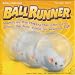 Ball Runner - Every hamster needs an exercise ball to keep them happy