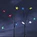 STARS MULTI - 5 bunches of 5 clear stars, MULTI-COLOURED LED