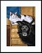 The Odd Couple by Drew Strouble