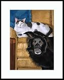 The Odd Couple by Drew Strouble