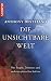 Die unsichtbare Welt: Von Engeln, Dämonen und anderen spirituellen Kräften