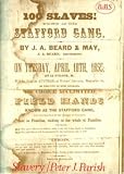 Slavery: The Many Faces of a Southern Institution (Pamphlets in American studies)