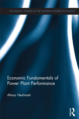 Economic Fundamentals of Power Plant Performance (Routledge Studies in the Modern World Economy)