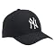 NY Yankees Fanatic Fan