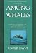 Among Whales